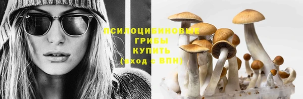 крисы Приозерск