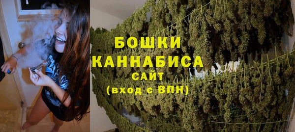 МДПВ Протвино