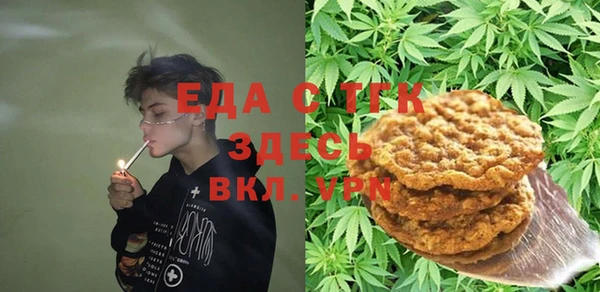 МДПВ Протвино
