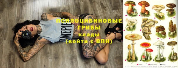 ешки Пролетарск