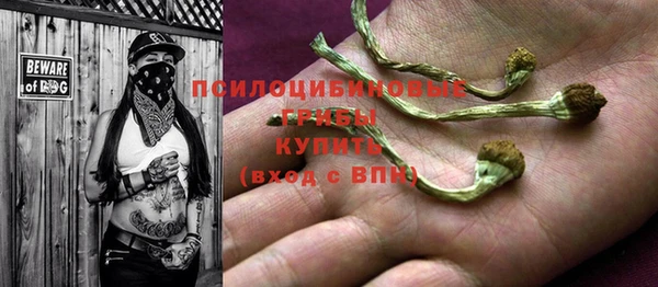 ешки Пролетарск